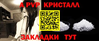крисы Нальчик