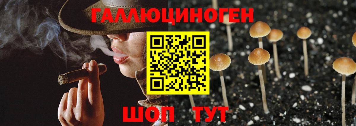 Галлюциногенные грибы Cubensis Южноуральск